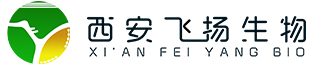 2021年春節放假通知